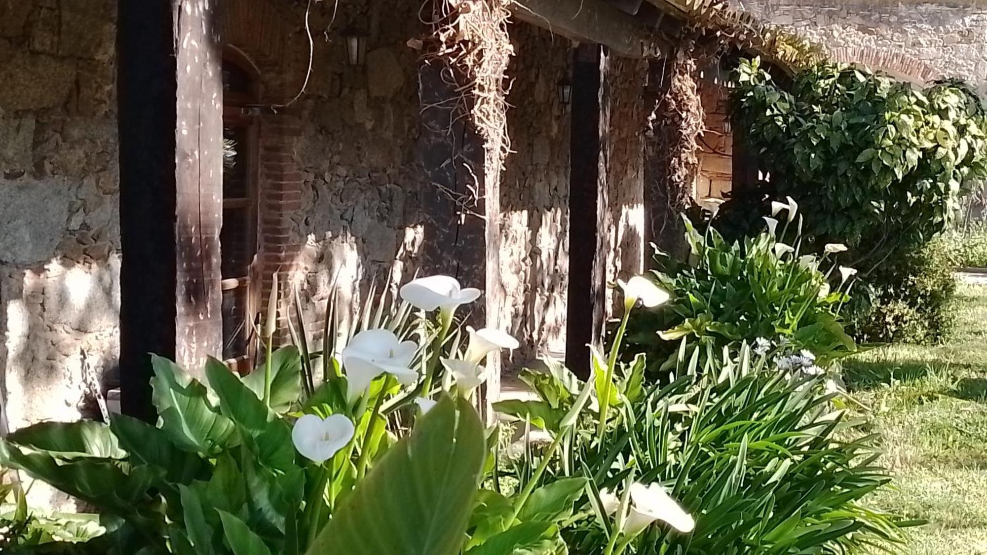Holiday home El Refugi Platja D'aro Casa Turistica 8